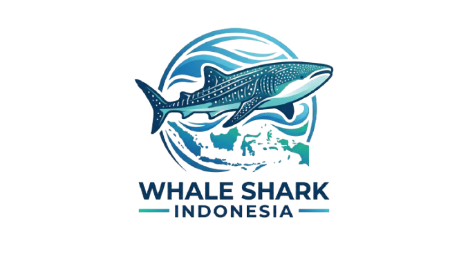 Whale Shark Indonesia