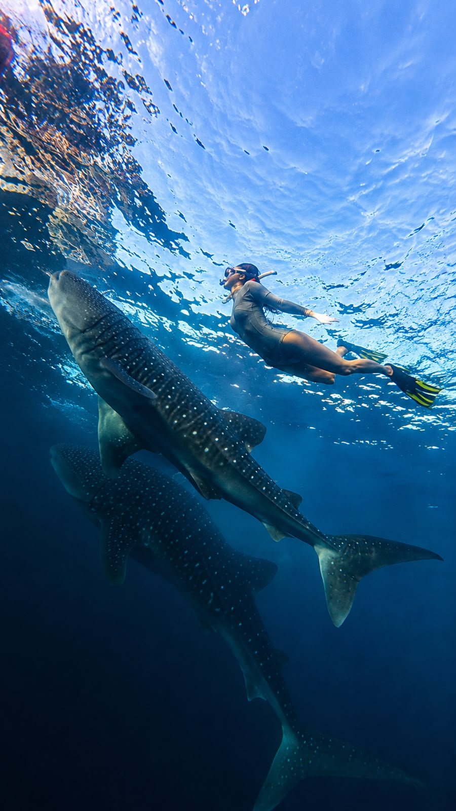 Wild Sumbawa horizons